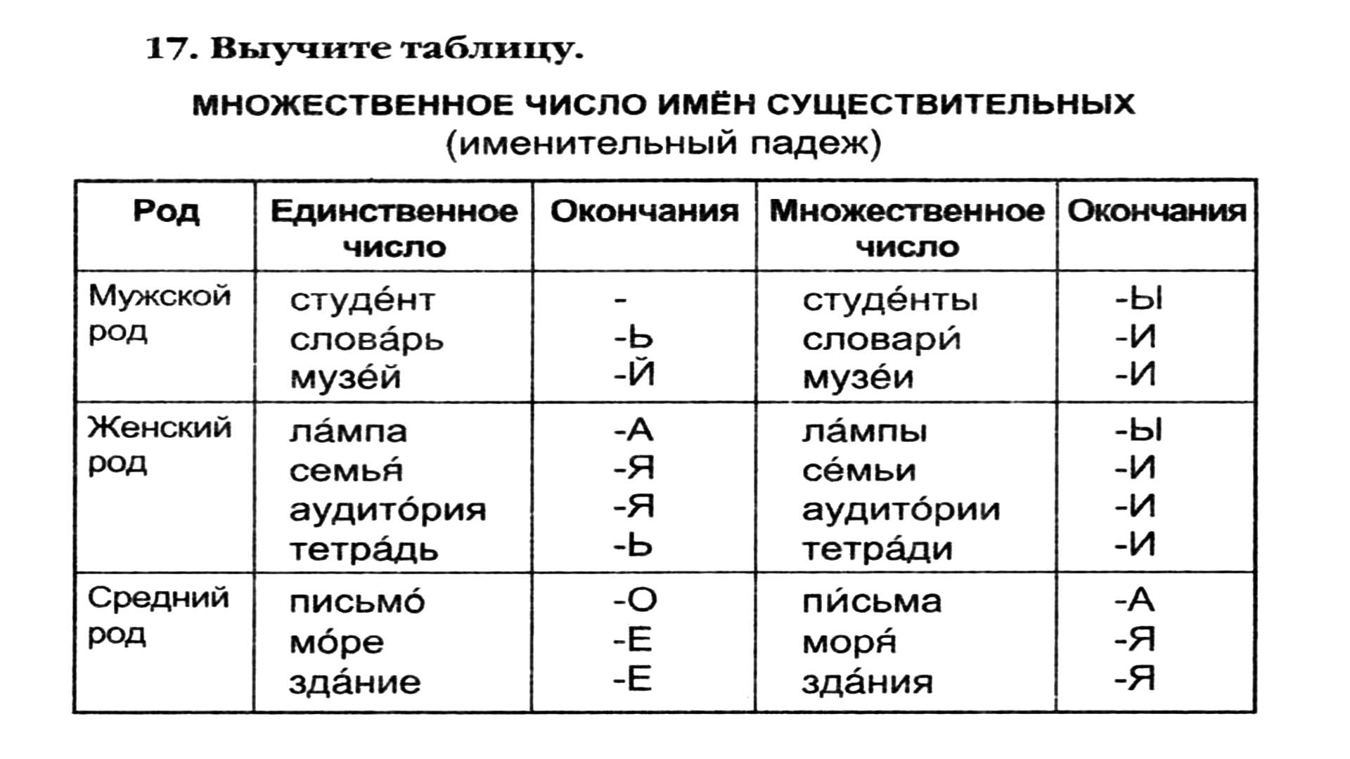 Видео курс РКИ: Множественное число имён существительных